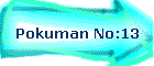 Pokuman No:13