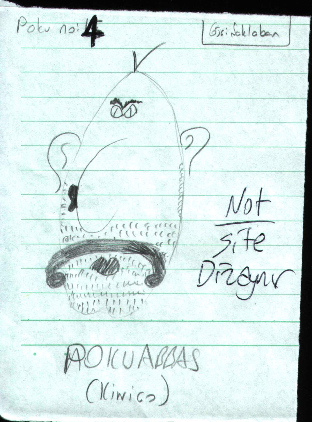 pokuabbas_poku_no4.jpg (172002 bytes)